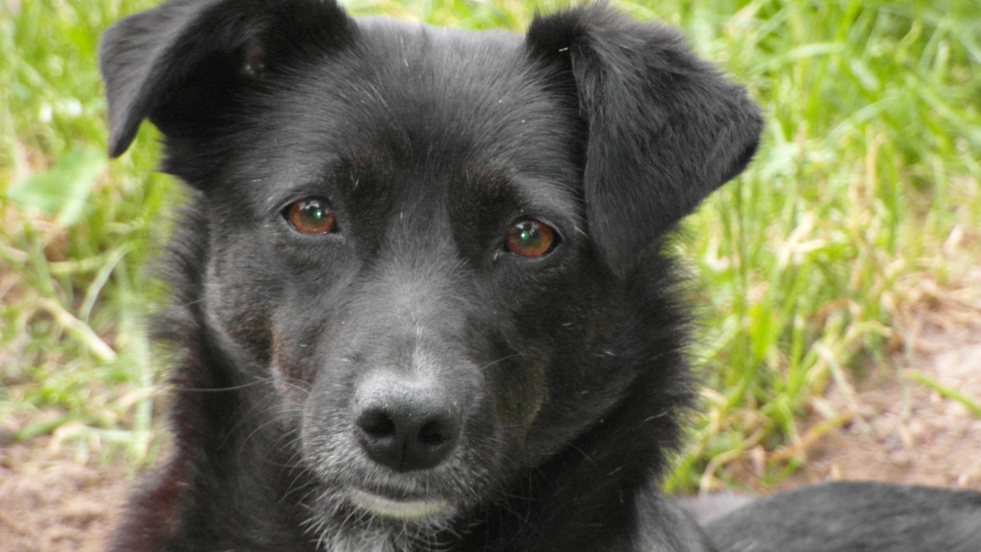 Coco12.JPG (1920 x 1080)